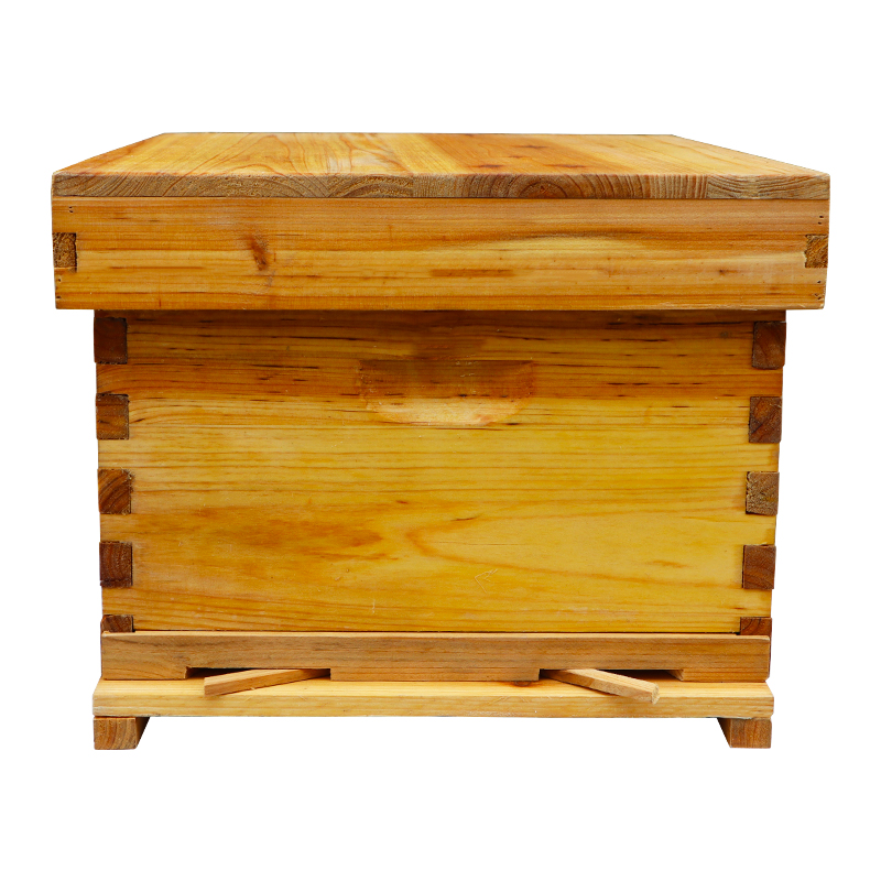 Juego completo de colmena de abejas, colmena de señuelo de abejas, diez marcos, siete marcos, colmena de abeto estándar, abeja italiana, nuevo barril de abejas, apicultura