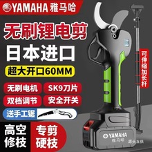 늄Ӽ����늳��ʽ�@�ֹ�����֦��������֦����늼��Ӽ�֦�F��