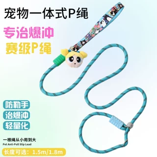 狗狗牵引绳P绳P链大中小型犬训练遛狗比熊雪纳瑞外出防爆冲遛狗绳