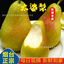 ̨̫汿ϋrˮܛŴM֭ˮ