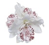 Brooch for bride, hair accessory suitable for photo sessions, Thailand, orchid