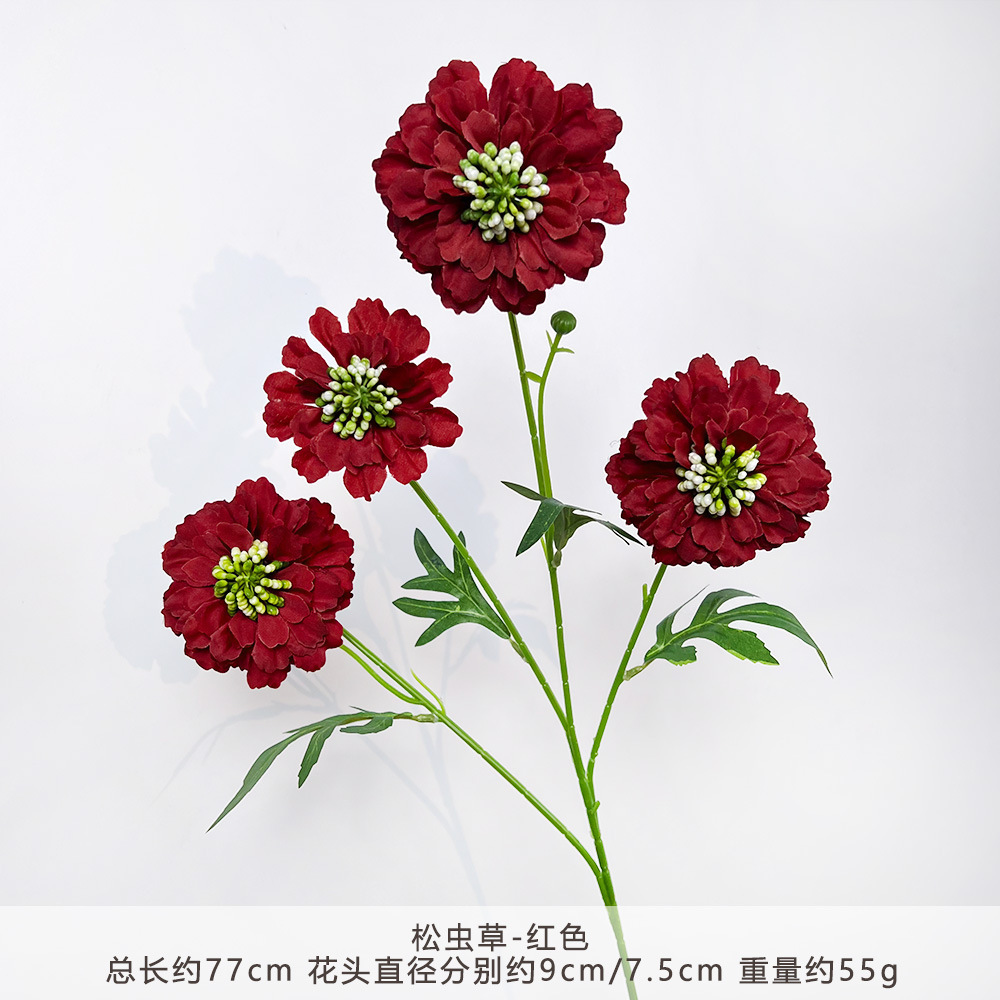Yn-cordyceps sinensis-red