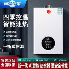 海皇帝尔燃气热水器家用强排平衡式天然气煤气液化气10升智能恒温