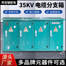 廠家35kV 電纜分支箱 高壓銅排電纜分支箱一進二三四五六出帶開關
