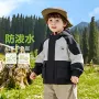儿童小童新款春秋款上衣