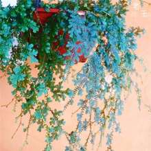 ��׃ɫ�ĵ��m!׃ɫ�����m���� ��녲� �҃ȴ���ֲ��ͥԺ�쾰�Gֲ