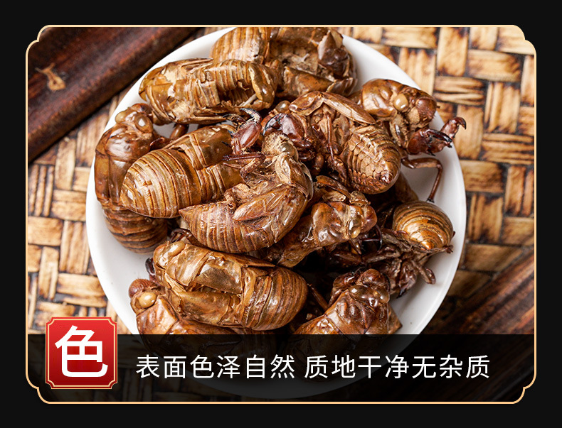Chan Tui (Cicada Slough) — Washed Dried Cicada Molt for TCM Tea & Decoction key features