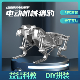 DIY늄әCе�� STEM�ƽ����ƴ�b�C���� С�W������Ƽ���������
