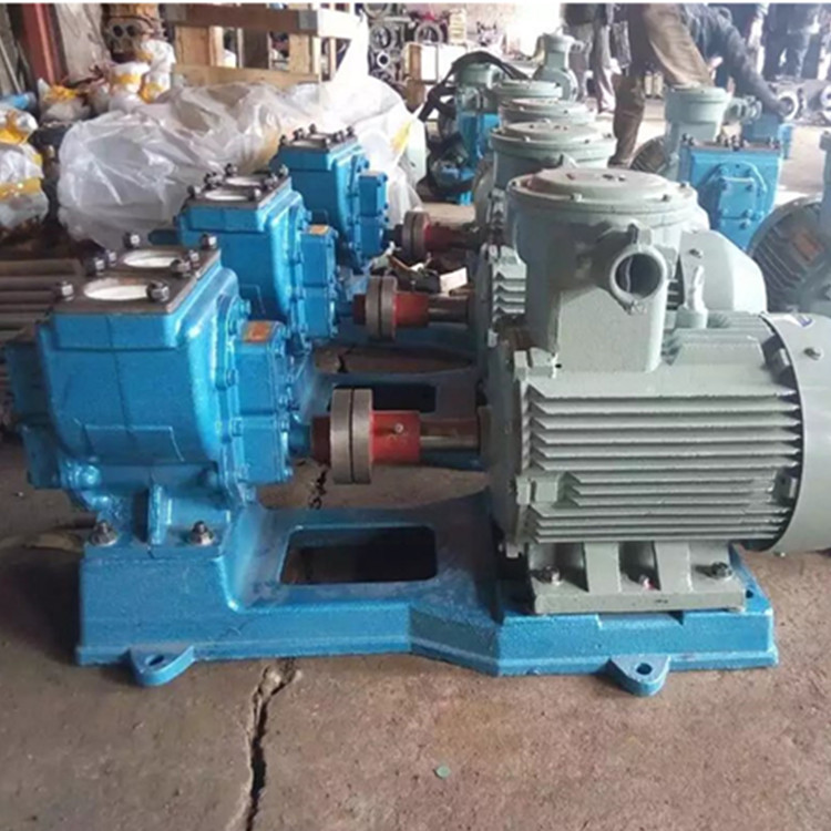 供应100YHCB100圆弧齿轮泵 移动式防爆圆弧泵 油罐车装卸泵 高效