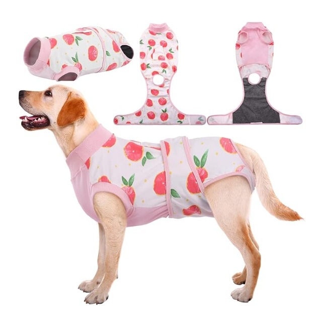 アマゾンの人気のある絶育服の中の大規模な子犬は通用します。|undefined