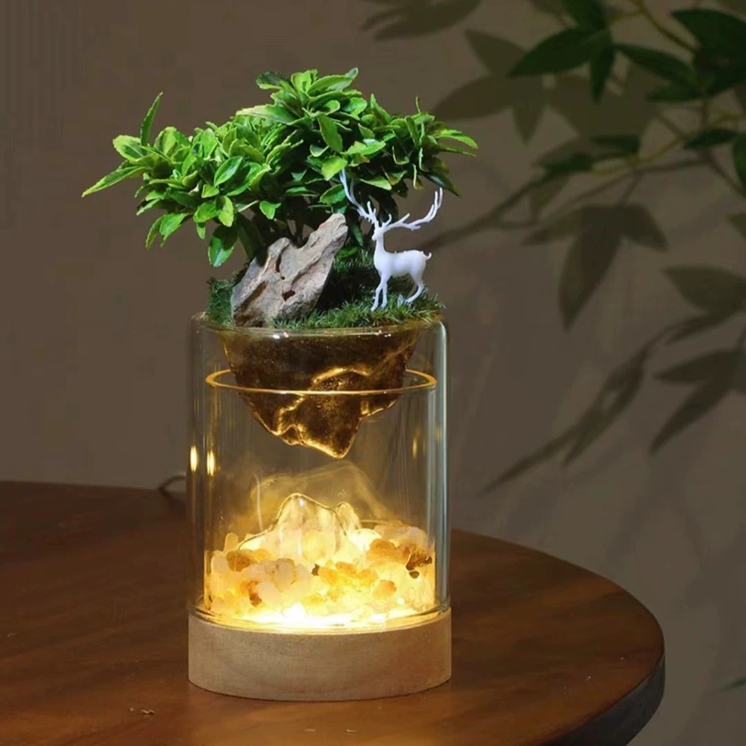 Дзен маленький мох горный просмотр подарочное растение гостиная зеленое растение микропейзаж горный стеклянный светящийся базовый набор для помещения