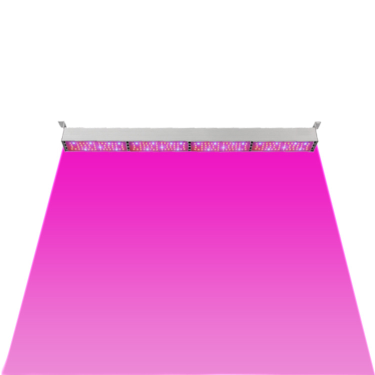 ֱled 250WƳ̵깤ȫֲ