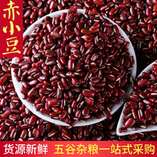 ���x��С�� 500g�b����s�Z�B����С��޲�״�n����������С��