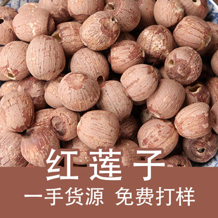 ��؛ȥо�tɏ�� ���Ϯa�� �V��ɏ�� �tɏ�Ӱ� ��о�tɏ����̶ɏ��
