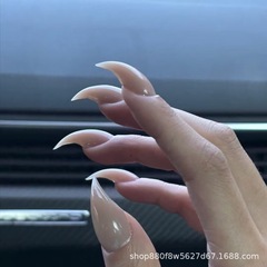 欧美外贸跨境纯手工龙甲龙爪穿戴甲爆款成品美甲批发鹰爪猫爪兽甲