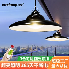 太阳能灯;庭院灯;道路照明灯