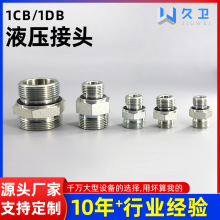 现货供应高压油管接头液压胶管扣压接头不锈钢扣压接1CB/1DB 卡套