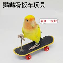 オウム知能玩具訓練道具オウム牡丹スケートボード車のアップグレード金合金スタンド専門指スケートボード