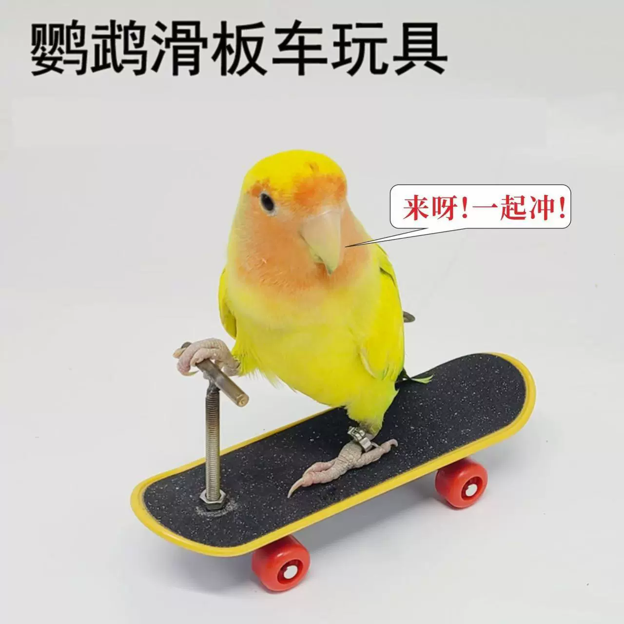 Попугай интеллектуальная игрушка Тренировочный реквизит попугай пион скутер модернизированный сплав кронштейн профессиональный палец