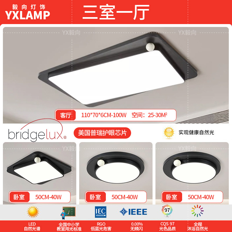 Luz de techo minimalista italiana sala de estar luz principal LED atmósfera creativa simple negro de alto nivel protección de ojos lámpara de dormitorio principal