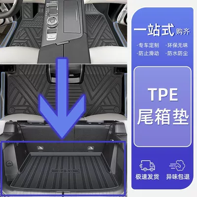 Threshold TPE Car Foot Mat Carpet Ayaqaltılar (Kovriklər) - model-25-model-24-beijing-bj30high-end-full-surround-tpe-original-car-versionsingle-layer-trunk-mat