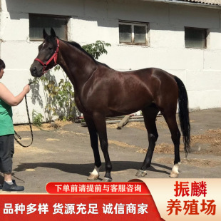 �½����N�����R ���R�T���R ��c���R �^�p�R���ξ��c