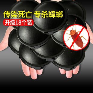 Japanese small black box house cap household kitchen strong killing glue bait insecticide factory wholesale