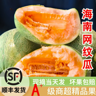 ��S���]���ھW�y�۹ϱ����������rժ����ˮ��������һ�����l