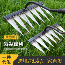 �羳�z�^���ݰ����r���z���z�����ӷ��������������Xᔰ��r��䓰�