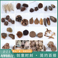 �ɹ�ѩ�ɹ����l��ͩ���}�Q�Y���bҾӲ廨�Ĕz�����ֹ�����DIY