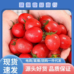 �V��ǧ���}Ů�����rˮ���߲˷��Ѱ��]����ˮ���}Ů��һ�����l