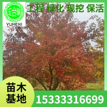 ����Ԫ���� �|��Ԫ���� ������Ǘ� Ԫ���� ��Ǘ� �������~��