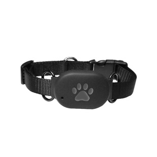 Q60 foreign trade 2G Pet Locator GPS positioning collar life waterproof Pet Smart wear anti-lost locator
