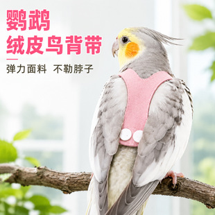�W�^���w����С̫����P�����K����ʽ�ļ��W�^������w�ر��·�