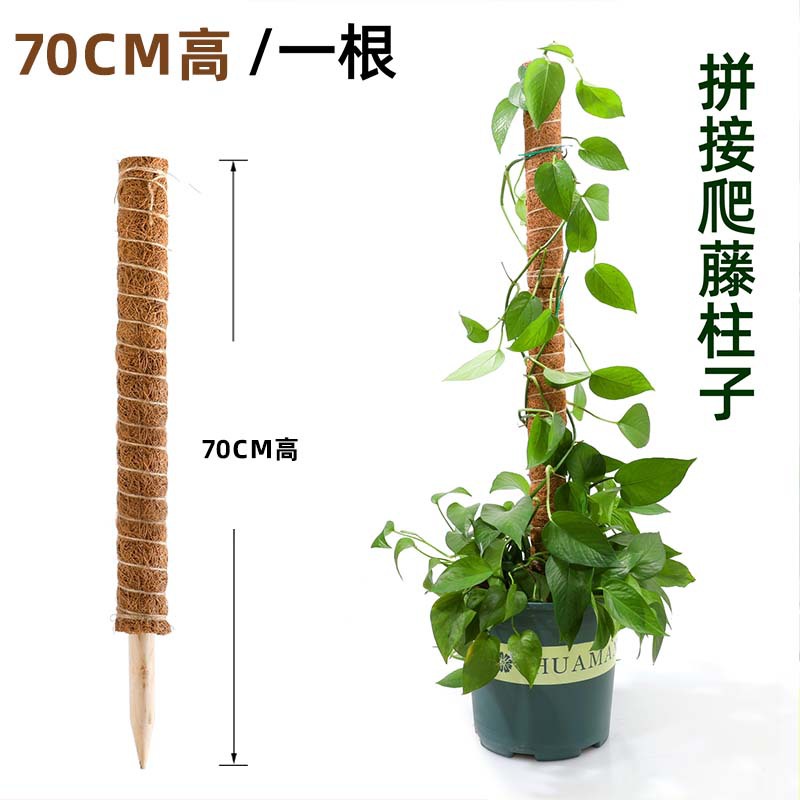 palo de palma de coco tortuga espalda bambú palo de soporte columna de escalada de caña de rojo verde palo de palma planta de escalada marco de soporte columna de soporte bonsai