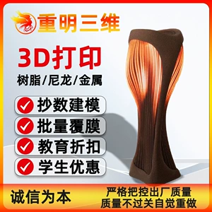 3D Printing Service Plastic Prototype Customization Sla Light-Curing Abs Resin Nylon Mjf Metal Slm Model Production