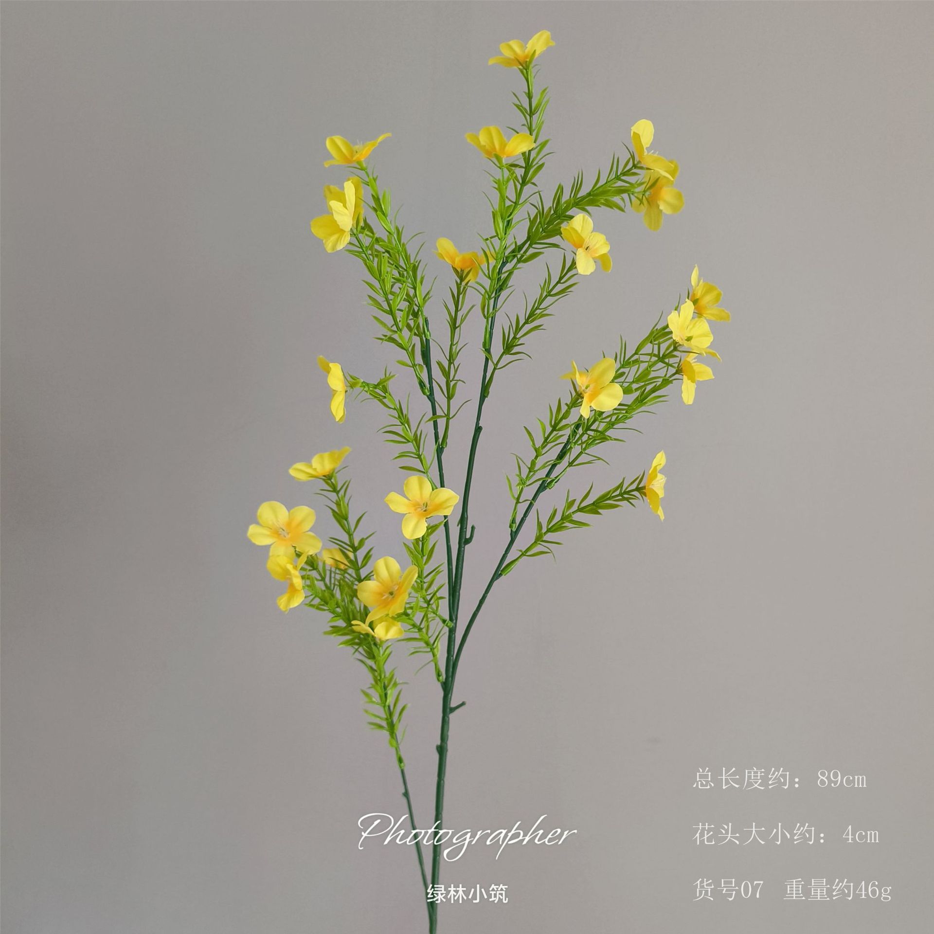 품목번호 07-키가 큰 작은 야생화