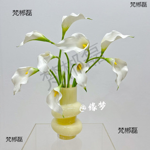 EVA�R��ɏ�ָ�ܛ�z���ٻ��R��ɏ �Ҿ��b廨��c�b��b