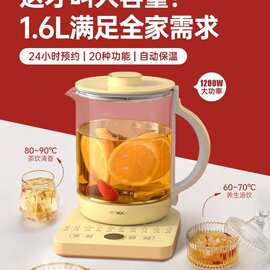 邻鹿养生壶LR022家用多功能烧水壶保温壶煮茶壶玻璃水壶1.6L大容