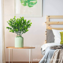 ����G���o��ϼ�ֲ�����ղ��J�C�o����ֲ��������Gֲ�b�