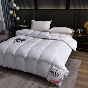 Cotton anti-feather cloth duvet thickened warm hotel quilt core down quilt gift autumn and winter quilt duck down quilt wholesale