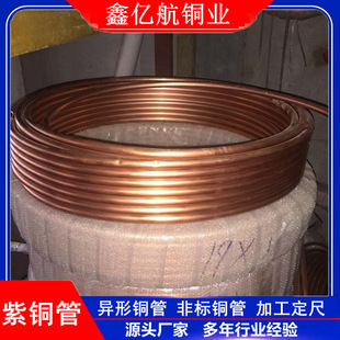 �S�����lT2���~��ë�����~���ܿ��{�������~�����ۏ��������~�P��