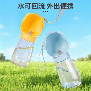 狗水杯外出