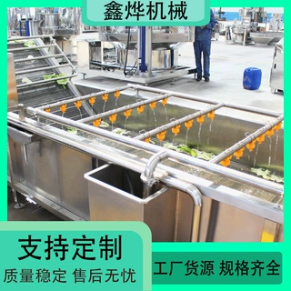 鲜枣干枣清洗流水线 毛豆辣椒清洗流水线 高压喷淋秋葵清洗机