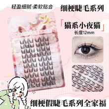 �zˮ��ٽ�ë�ۺ�ʮ�Ŵ�мٽ�ë���ֻ��y���]��ܛ�ڹ���Ȼ����