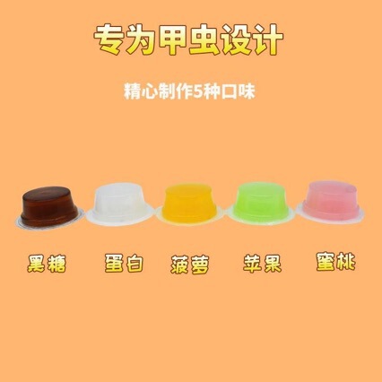 Insect Jelly, Beetle Jelly, Pet Snacks, Jelly Manufacturers, Wholesale Jelly