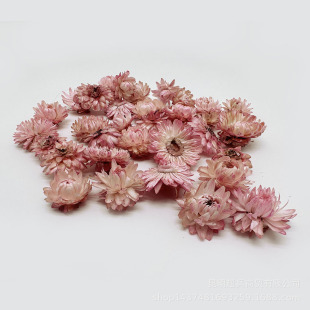 【Dyeing wheat pole chrysanthemum flower head】 wheat pole chrysanthemum mini flower head small daisy flower head