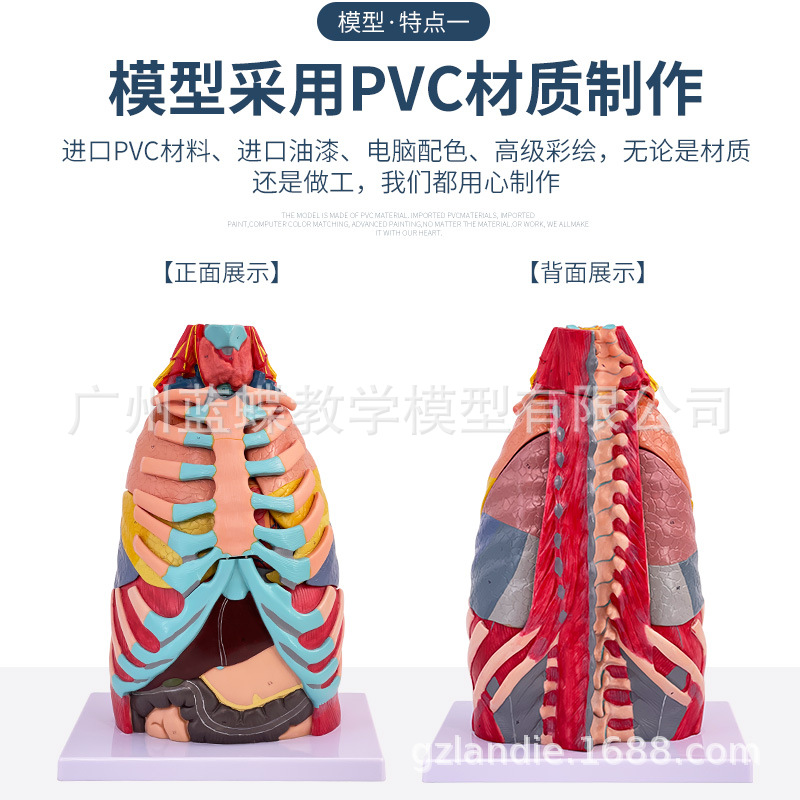 ������ǻ���������ģ������ηκ���ϵͳģ�ͺ�����ҽѧ�̾�