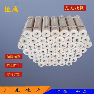 Manufacturers produce unpowered roller 89*240 89*305 waterproof and dustproof nylon roller shield machine