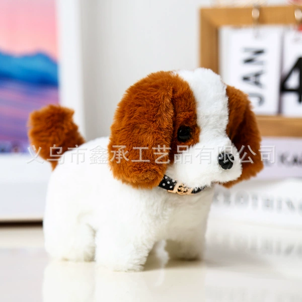Little Saint Bernard brown color
